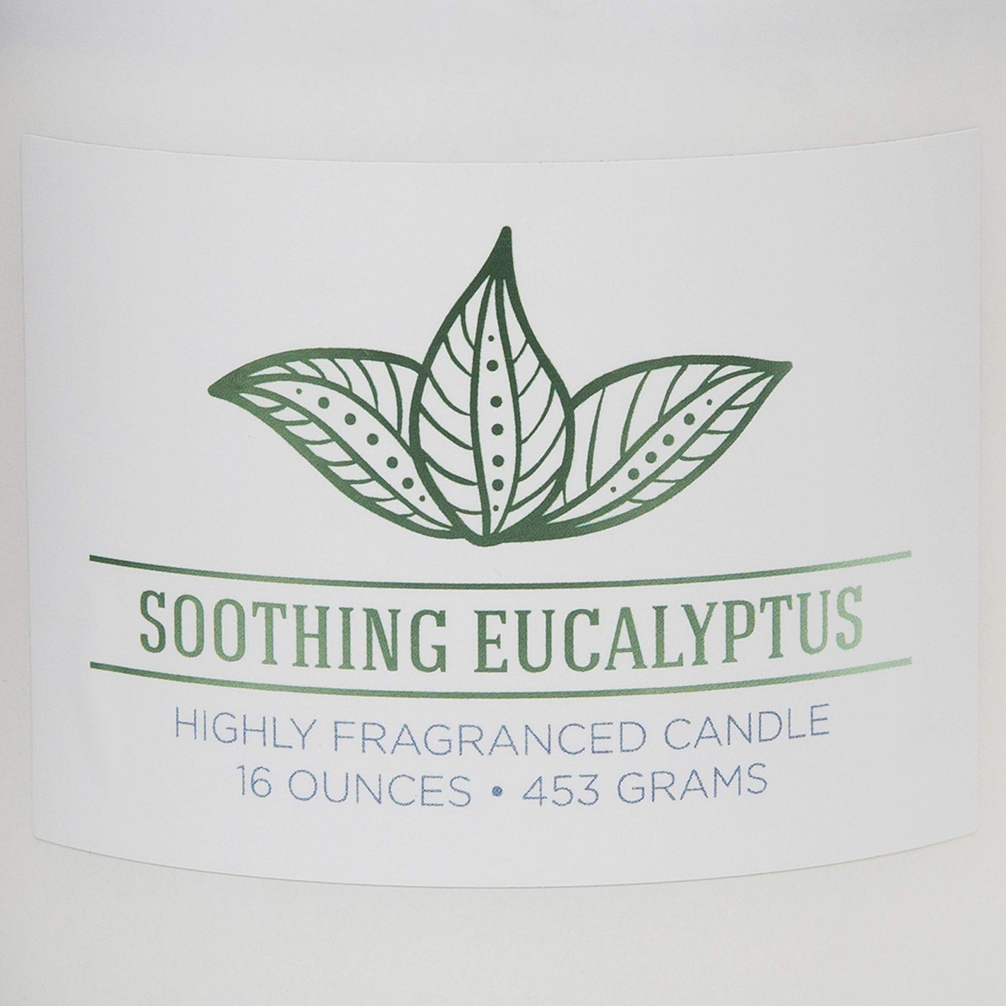 Carolina Soothing Eucalyptus Scented Candle, 16 oz Wellness Relaxing Aromatherapy Candle, 2 Wick White Jar Soy Blend Wax, Candles for Home, 60H Burn - Made in The USA