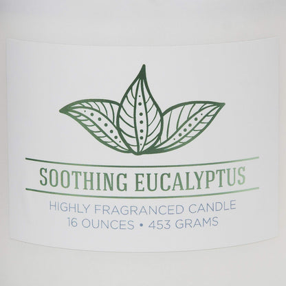 Carolina Soothing Eucalyptus Scented Candle, 16 oz Wellness Relaxing Aromatherapy Candle, 2 Wick White Jar Soy Blend Wax, Candles for Home, 60H Burn - Made in The USA