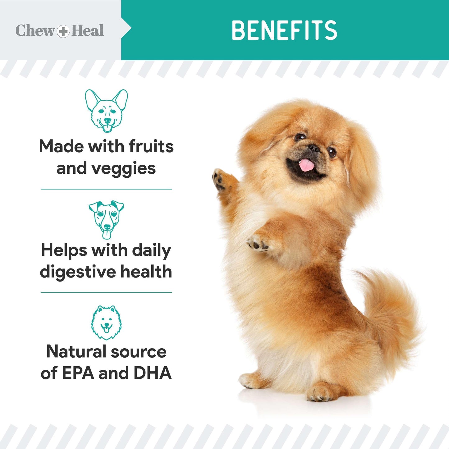Chew + Heal Labs Probiotic Salmon Jerky Dog Treats - Wild Caught Alaskan Salmon Jerky for Digestive Health with Apples, Pumpkin, Pea Protein, and More - Made in The USA