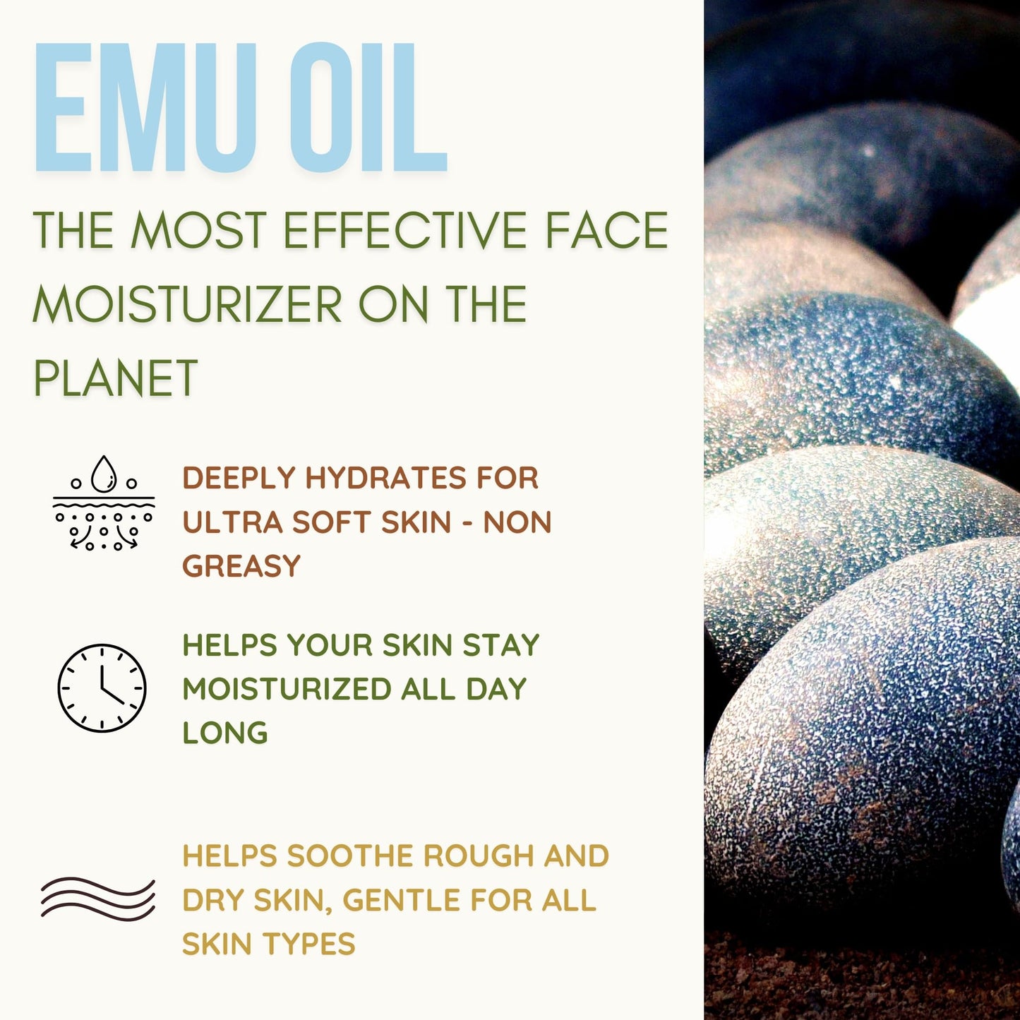 100% Grass Fed Tallow Balm with First Colostrum, Rose Oil & Emu Oil - Handmade in USA Whipped Beef Tallow for Face and Body, Beef Tallow for Skin Tallow Moisturizer (Mountain Rose) Scent