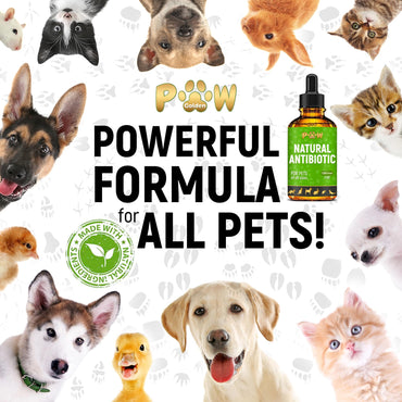 Dog Antibiotics for Infection, Coughs, UTIs, Allergies, Itching | Natural Antibiotics for Cats to Support Skin, Coat, & Digestion | for All Breeds & Ages | 2 oz