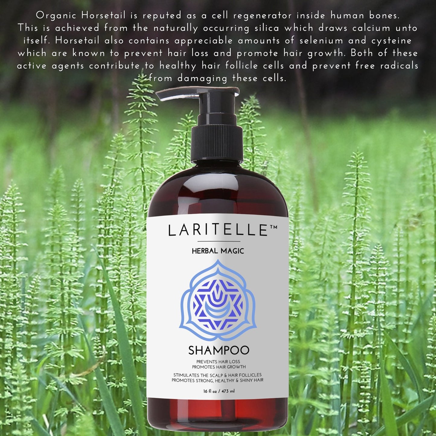Laritelle Organic Unscented Shampoo Herbal Magic – 17.5 oz – Sulfate-Free, Vegan Hair Growth Shampoo for Sensitive Scalp – Made in California