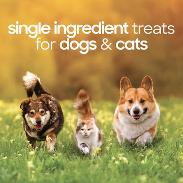 smallbatch Freeze Dried Dog Treats, Beef Liver Treats for Dogs & Cats, High Protein, Single Ingredient Dog Treat for Training or Food Topper, Natural, Humanely Sourced Meat, Made in The USA, 4 oz