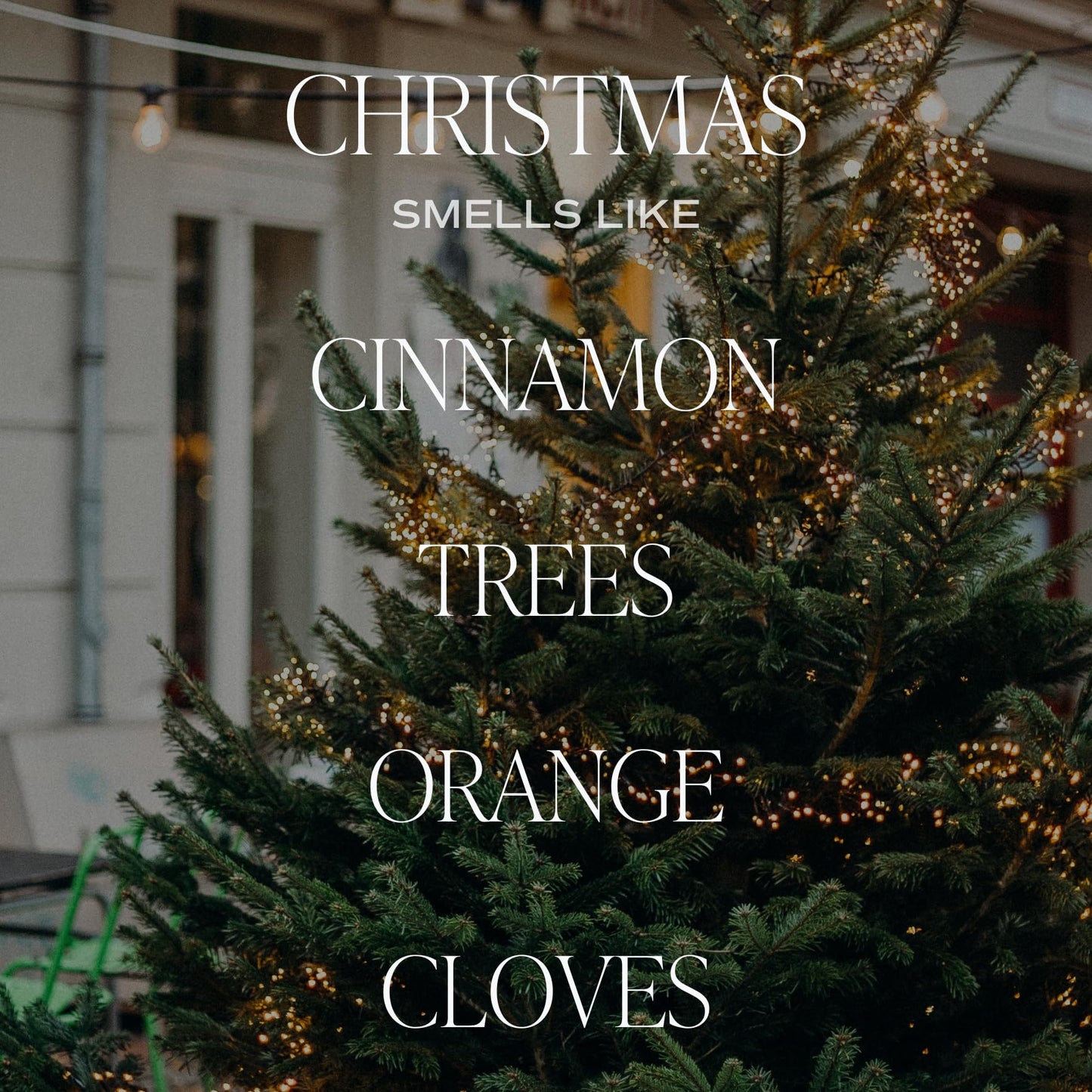 Sweet Water Decor Christmas Candle | Cinnamon, Trees, Orange, and Clove Scents | Christmas Candles and Decor for Home | 9oz. Clear Jar Soy Candle, Made in The USA