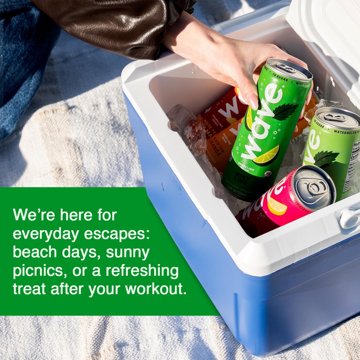 WAVE Organic Sparkling Drink | Low Calorie Drink, Mint Lime Lightly Carbonated | Great Natural Soda Alternative | USA Made Kosher No Added Sugar, Color, & Artificial Ingredients |12 Pack