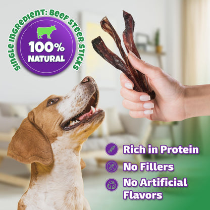 Bully Sticks for Dogs Sourced & Made in USA, All-Natural Taste, Shape, & Color, 6 inch Pizzle Sticks, Bully Bones for Small and Medium Dogs, Includes 12 to 14 Rawhide-Free Treats Per Bag, 8oz