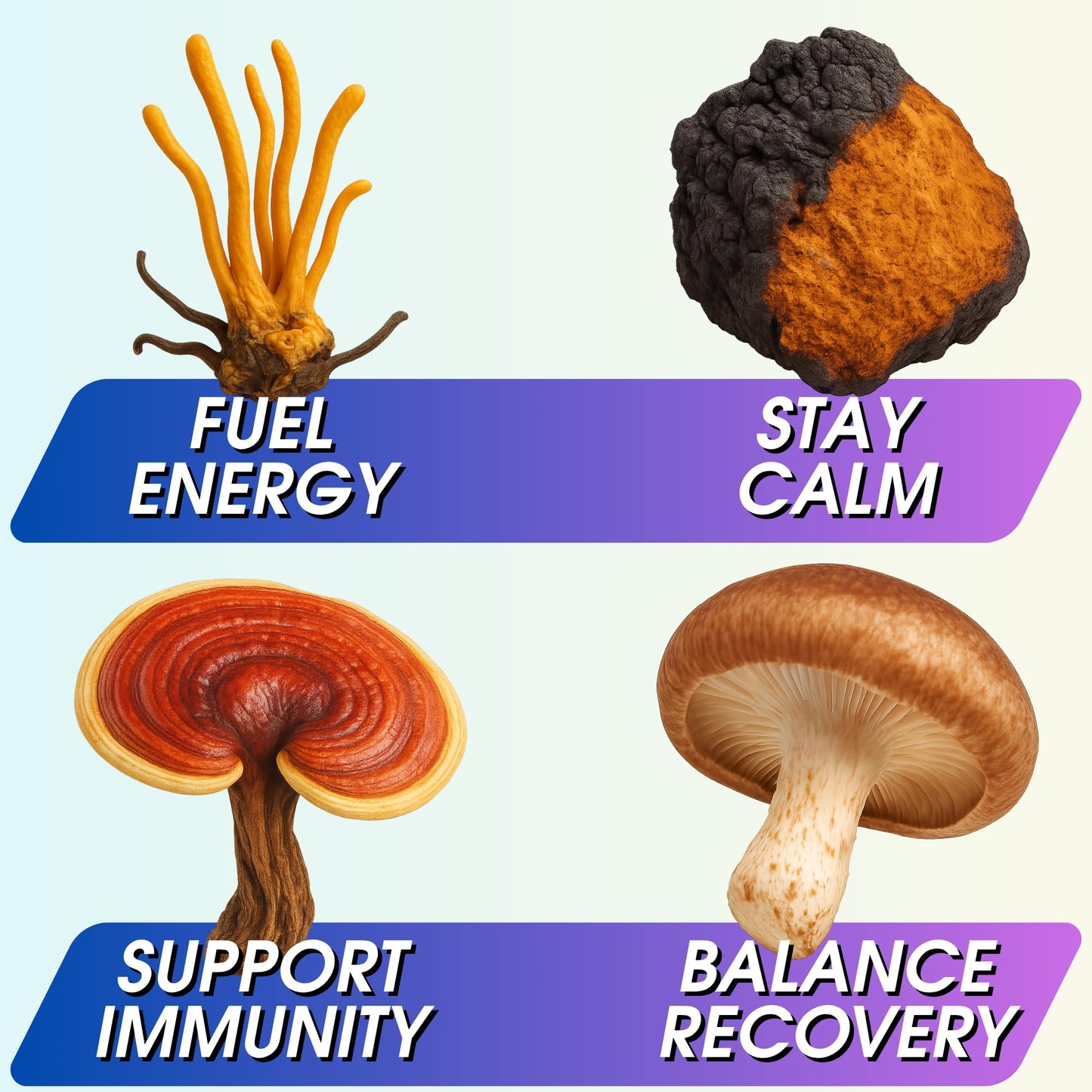 Instant Mushroom Powder 10:1 – Cordyceps Mushroom Supplement with Reishi, Chaga & Shiitake – Caffeine-Free Nighttime Drink with B6, B12, D + Probiotics – Best Mushroom Coffee Organic Blend (Sweet)