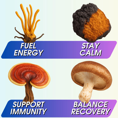 Instant Mushroom Powder 10:1 – Cordyceps Mushroom Supplement with Reishi, Chaga & Shiitake – Caffeine-Free Nighttime Drink with B6, B12, D + Probiotics – Best Mushroom Coffee Organic Blend (Sweet)