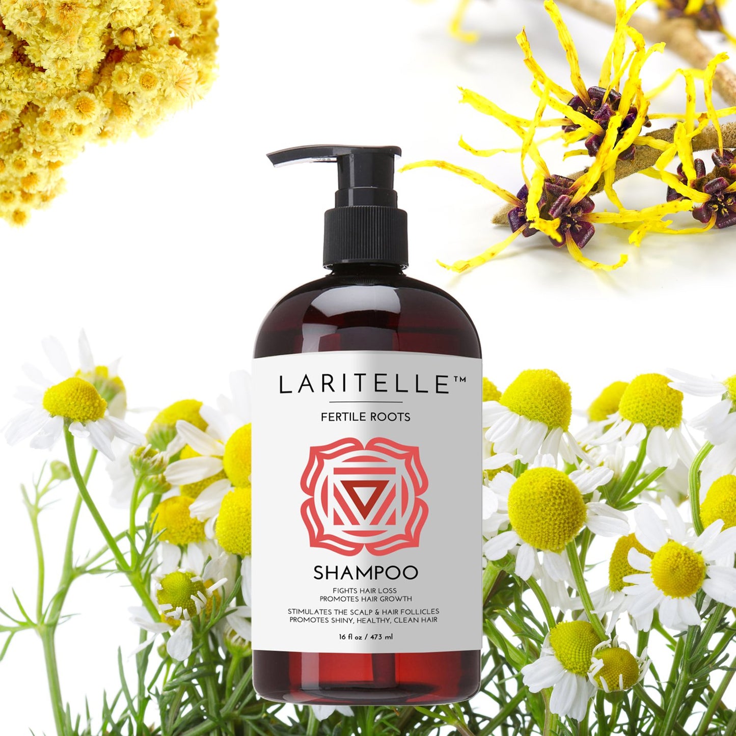 Laritelle Organic Shampoo 17 oz + Conditioner 16 oz | Prevents Hair Loss, Promotes Hair Growth | Ayurvedic Herbs, Lavender, Ginger & Rosemary | NO GMO, Sulfates, Gluten, Alcohol, Parabens, Phthalates