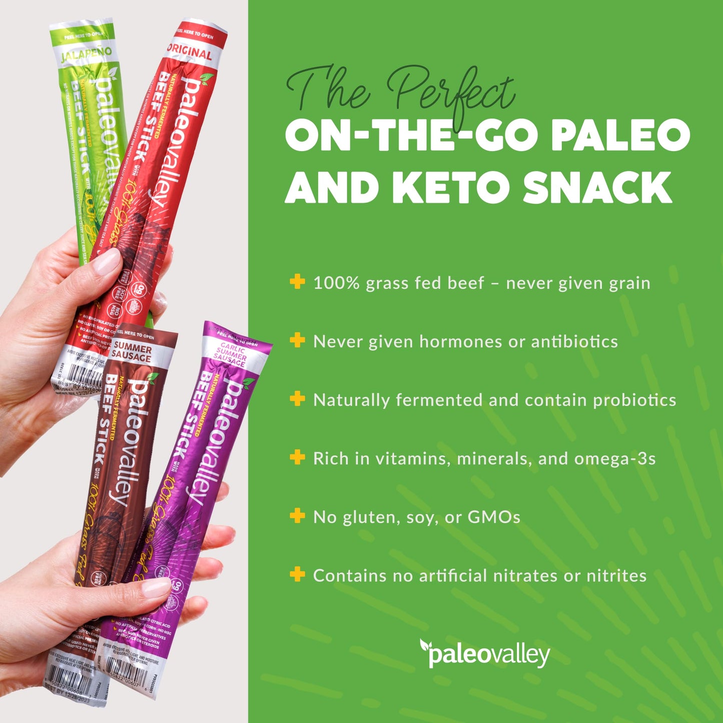 Paleovalley 100% Grass Fed Beef Sticks - Delicious Gluten Free Beef Snack - High Protein Keto Friendly, 40 Count Variety Pack