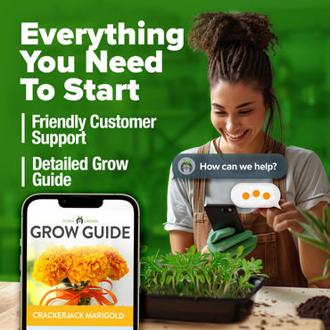 HOME GROWN Marigold Seeds Bulk Mix - 5600+𝗡𝗢𝗡-𝗚𝗠𝗢,𝗨𝗦𝗔 Crackerjack Marigold Flower Seeds for Planting Outdoors -Flowers Seed for Companion Planting -Wildflower African Marigold(Tagetes erecta)