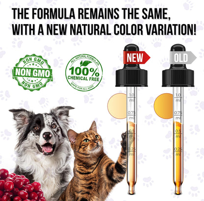 Cat Multivitamin B, C, & D3 – Liquid 10 in 1 Multivitamin for Dogs – Dog Vitamins and Supplements to Help with Allergies & UTIs – Cat Vitamins for Skin & Coat – Glucosamine for HIPS & Joints – 2 Oz