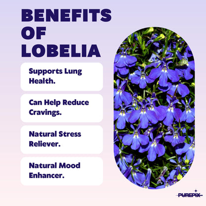 PurePix QuitPix May Help Quit Smoking Extra Thick Boosting Flavored Toothpicks with Lobelia to Help Quit Smoking - Oral Fixation - Nicotine Free Toothpicks Mixed Berry 3 Pack