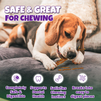 Lively Tails Turkey Tendons for Dogs Made in USA with 100% Turkey and No Glycerin, Healthy Jerky Dog Treats for Medium and Small Dogs, Human Grade Natural Chews, 6 oz Bag