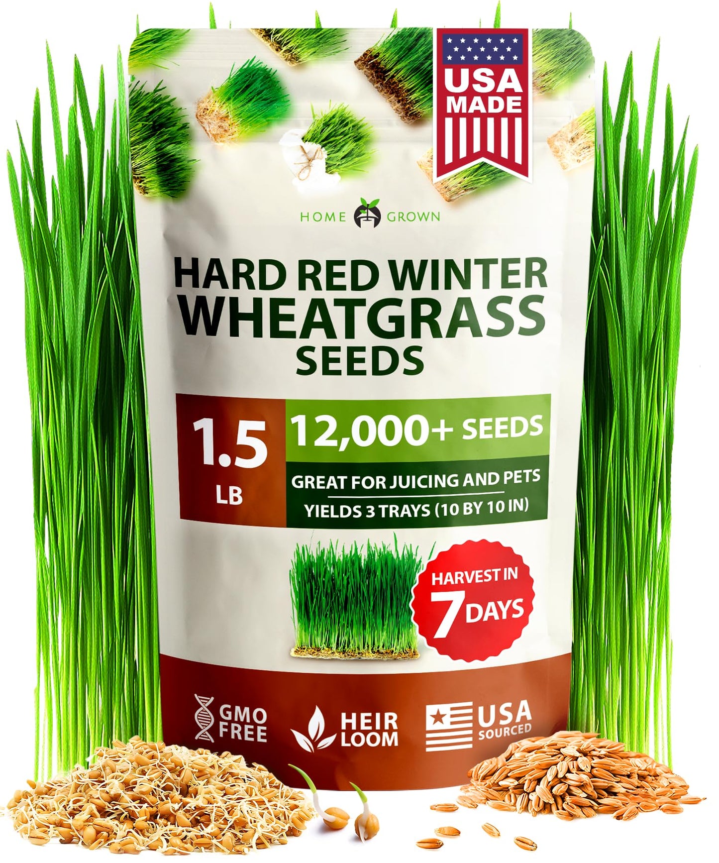HOME GROWN 12,000+ Wheatgrass Seeds Bulk Pack(1.5 lb) 𝗡𝗢𝗡-𝗚𝗠𝗢 𝗨𝗦𝗔 Hard Red Winter Wheatgrass – Heirloom, Sprouting for Juicing, Microgreens, Smoothies & Indoor Gardening(Triticum aestivum)