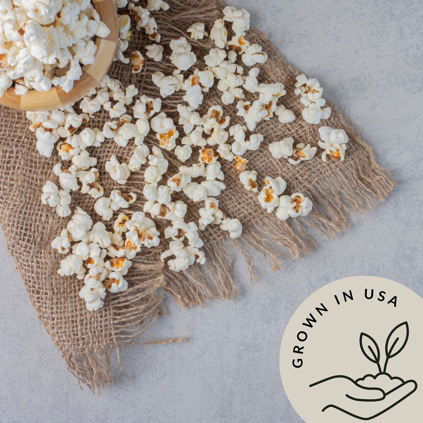 Be Still Farms White Organic Popcorn Kernels (4.8lb) - Hulless Uncooked Corn Bulk Ideal for Popping - Healthy Microwave Snacks Great for Movie Night - USA Grown | USDA Certified | Non-GMO | Vegan