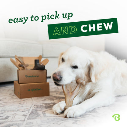 Benebone Medium 4-Pack Dog Chew Toys for Aggressive Chewers, Made in USA