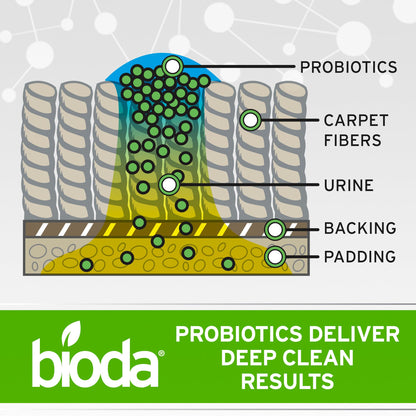 Bioda Multi-Purpose Probiotic Enzyme Cleaner and Deodorizer | Professional Strength | Trash Can Deodorizer, Pet Stains and Odors, Drains, Floors, Bathrooms, Toilets | Made in USA | 1 Gallon