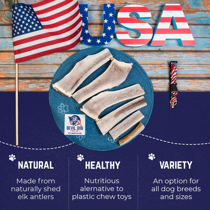 Devil Dog Pet Co. Split Elk Antlers for Dogs, Medium 5"+, 1 Pack, Grade A Long Lasting Chew for Aggressive Chewers, Premium USA Naturally Shed Antler – Healthy, No Odor, Durable Dog Chew