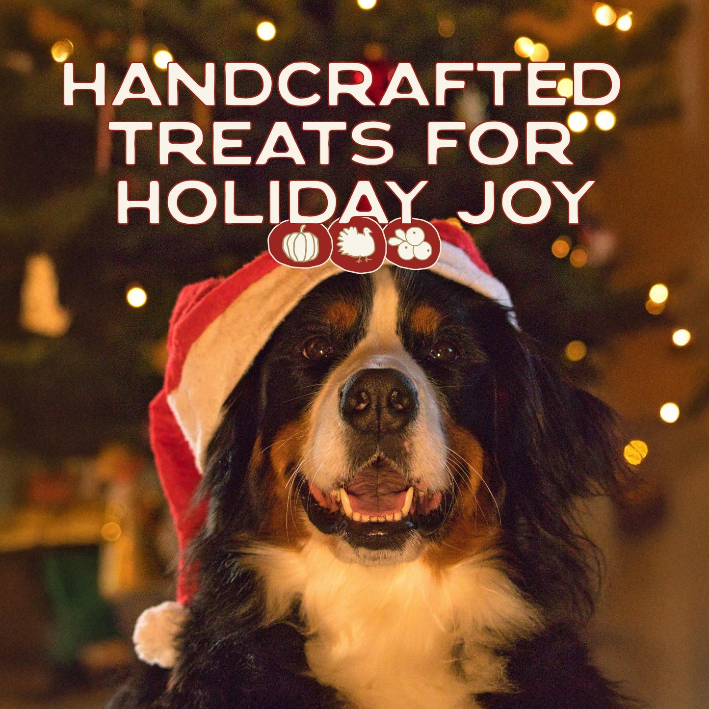 Smart Cookie Muttstletoe Holiday Dog Treats - Turkey, Pumpkin and Cranberry Christmas Dog Treats - Healthy, All Natural, Grain Free, Human-Grade - Made in USA - 8oz