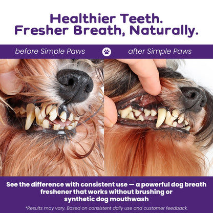Dog Dental Powder for Teeth Cleaning - Dental Powder for Dogs Teeth – Prevent Dog Bad Breath with Probiotics for Fresh Breath & Oral Health – Chicken Flavored, 60 Scoop Supply