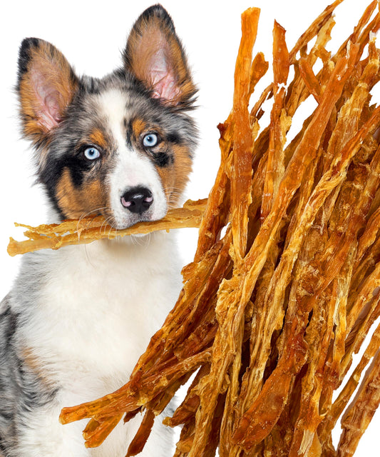 Lively Tails Turkey Tendons for Dogs Made in USA with 100% Turkey and No Glycerin, Healthy Jerky Dog Treats for Medium and Small Dogs, Human Grade Natural Chews, 6 oz Bag