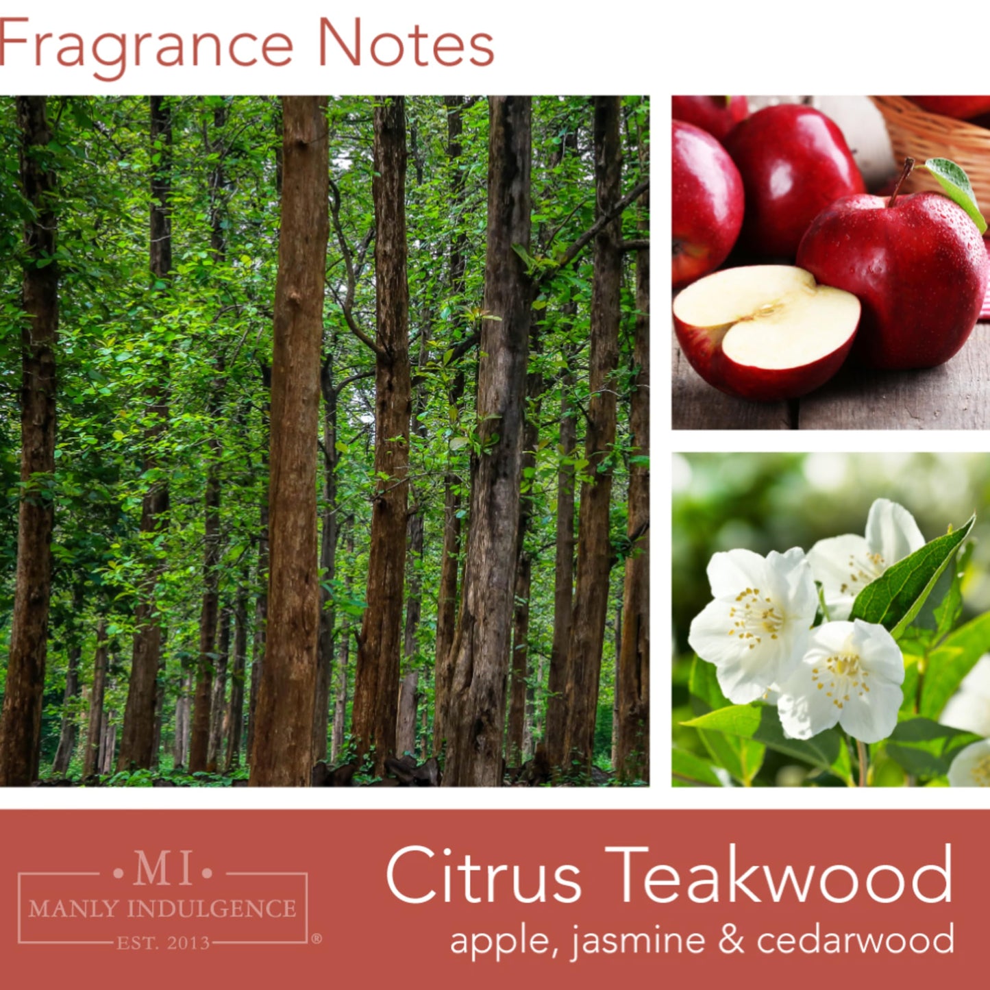 Manly Indulgence Citrus Teakwood Scented Candles for Men, 2 Wick, 15 oz Premium Soy Blend Wax, 60H Burn, Candles for Home Scented – Made in The USA