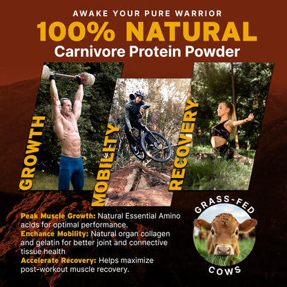 PaleoPro Carnivore Complete (Aztec Vanilla) Pastured & Cage-Free Protein, Grass-Fed Beef Tallow, Beef Organs | No Sugar, Soy, Grains or Net Carbs | Gluten Free. Paleo & Keto Macros (15 Servings)