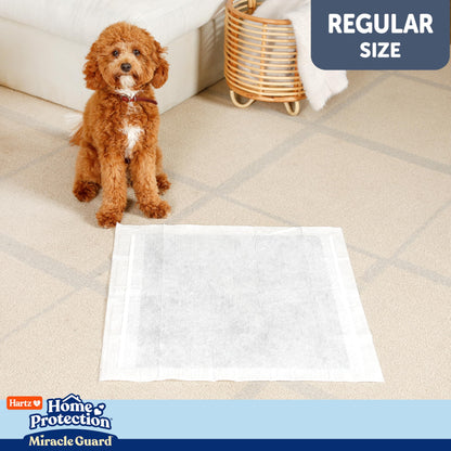 New! Hartz Home Protection Miracle Guard USA Made Dog Pads, Regular Size 50 Count, 3X Absorbency & 3X Longer use, Won't Leak and Odor Eliminating