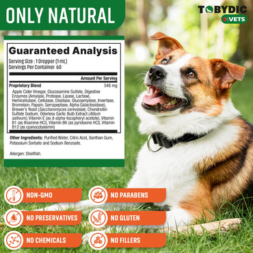 Flea & Tick Prevention Support - Oral Flea Natural Control & Treatment for Dogs and Cats - Herbal Medicine for Small and Large Dogs with Multivitamin Pet Supplement Made in USA