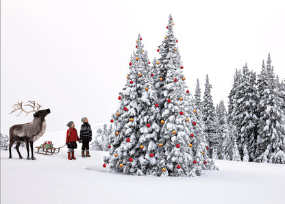 Psaris Productions Xmas Tree, Kids & Reindeer Christmas Cards Boxed With Envelopes Set of 12 Holiday Cards and 12 Envelopes. Made in USA