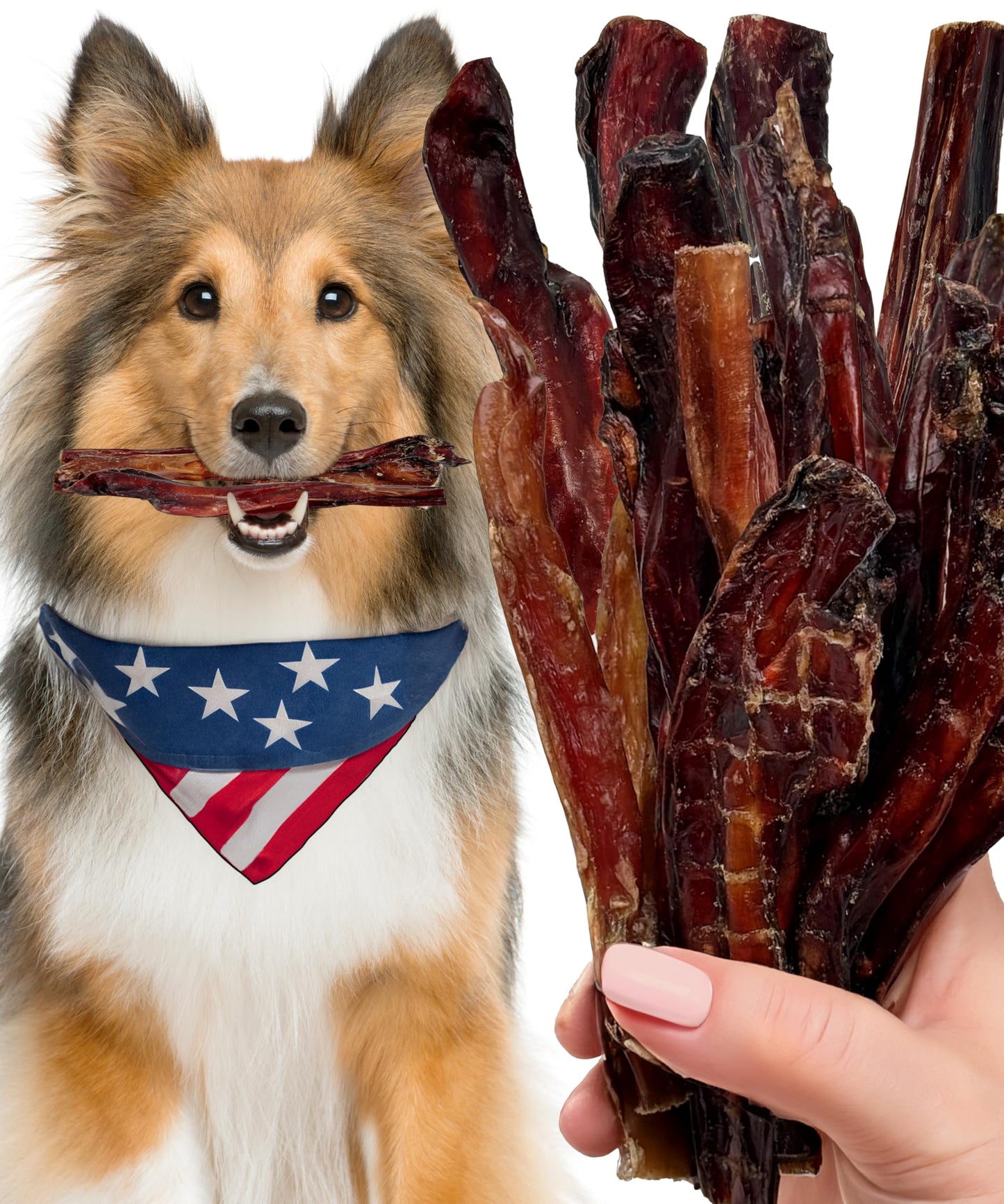 Bully Sticks for Dogs Sourced & Made in USA, All-Natural Taste, Shape, & Color, 6 inch Pizzle Sticks, Bully Bones for Small and Medium Dogs, Includes 12 to 14 Rawhide-Free Treats Per Bag, 8oz