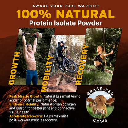 Paleo Pro 26G Beef Protein Powder - Grass Fed Protein Powder Isolate - Pure Animal Based Pastured & Cage-Free | Dairy & Gluten Free, Natural & Clean Proteins for Paleo & Keto - 15 Days Supply Vanilla