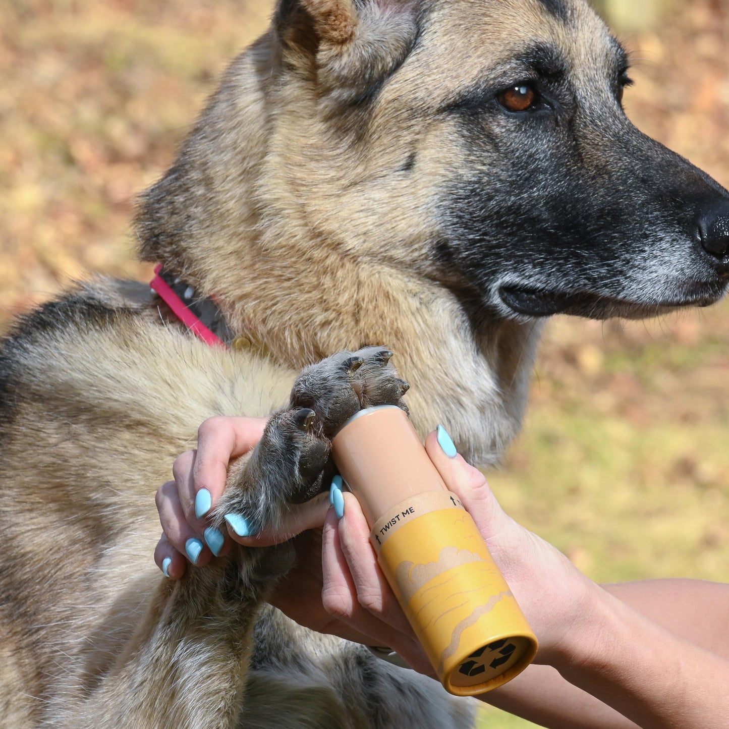 Rhino Wax - Dog Paw Beach Wax 2oz - Protects Against Sharp Rocks, Hot Sand, Glass, Coral, or Other Hazards at Beaches - Moisturizes and Improves Elasticity - Lick Safe - Natural Ingredients - USA Made