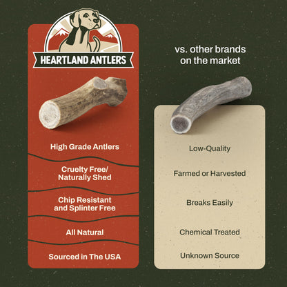 Heartland Elk Antlers for Dogs (Whole Elk, 5–6", Medium, 2-Pack) – Grade A, Naturally Shed | Long-Lasting, Odor-Free Chew for Aggressive Chewers & Puppies | USA Made | Veteran Owned