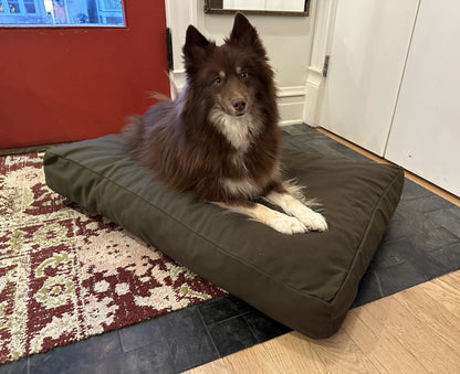 Cotton Duck Canvas Dog Bed - Lightweight CertiPUR Foam Fill