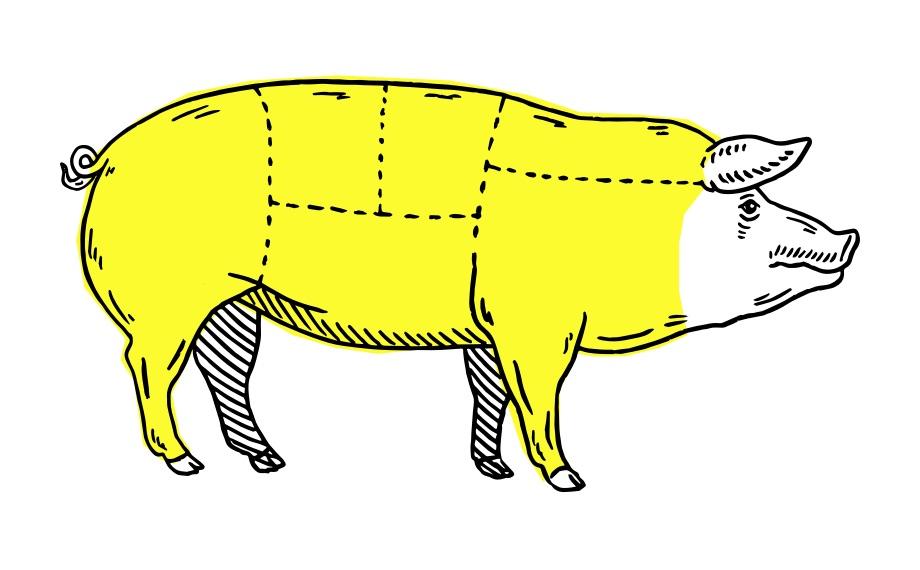meat location illustration