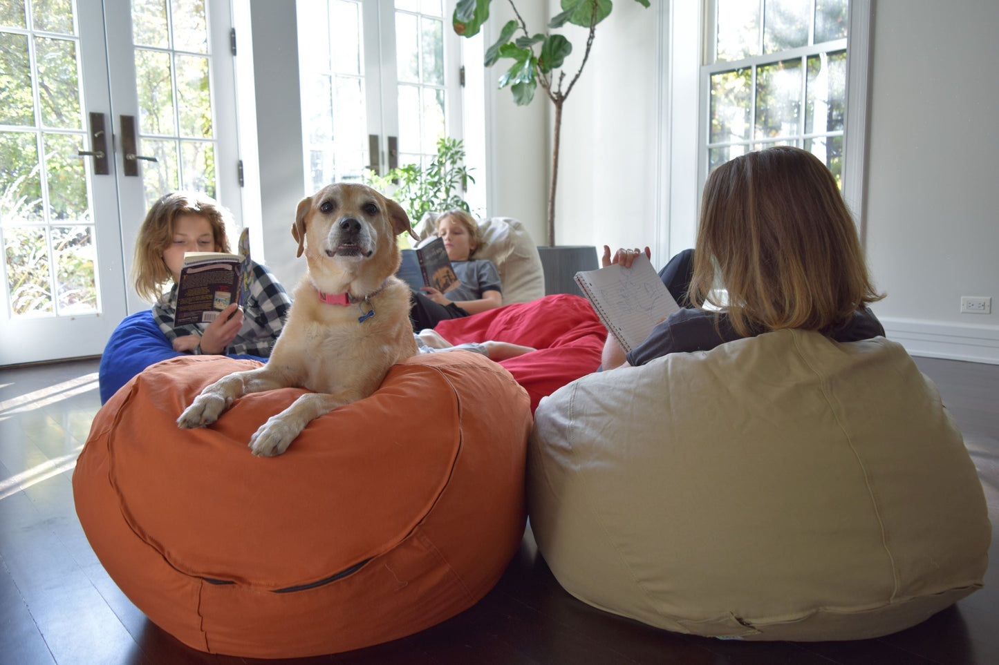 ComfyBean Kid size Bean Bag Chair - Cotton