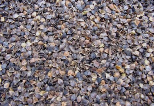 Buckwheat Hull Fill - Organic grown in USA