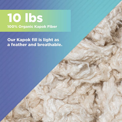 10 pounds kapok fiber 100% organic Bean Products